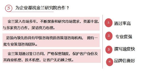 麗江市項(xiàng)目計(jì)劃書專業(yè)撰寫與策劃服務(wù)指南